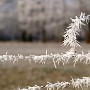 Winter im Spreewald