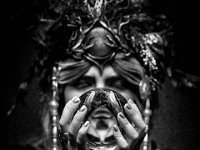DSC04713-sw